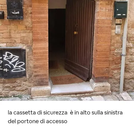 Daire Benincasa *